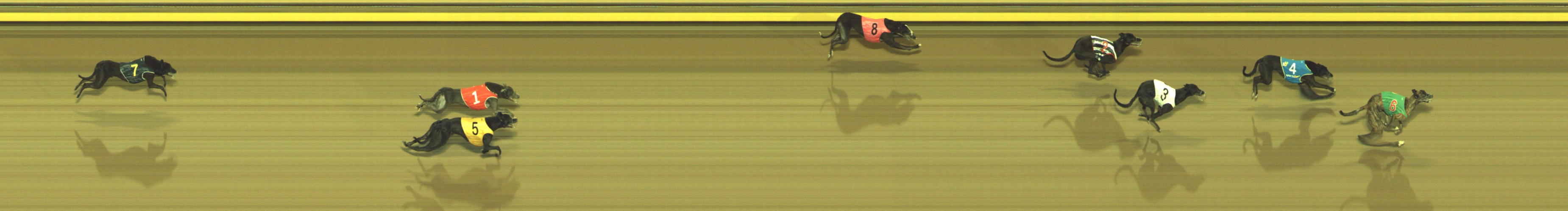 Race result finish photo